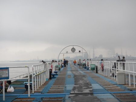 オリジナルメーカー海づり公園(市原市海づり施設) 釣果