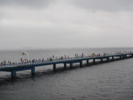 オリジナルメーカー海づり公園(市原市海づり施設) 釣果