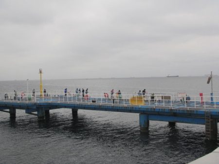 オリジナルメーカー海づり公園(市原市海づり施設) 釣果