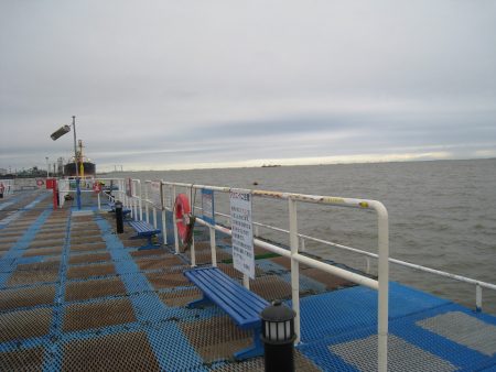 オリジナルメーカー海づり公園(市原市海づり施設) 釣果