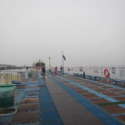 オリジナルメーカー海づり公園(市原市海づり施設) 釣果