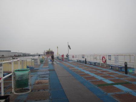 オリジナルメーカー海づり公園(市原市海づり施設) 釣果