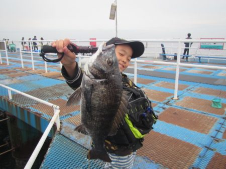 オリジナルメーカー海づり公園(市原市海づり施設) 釣果