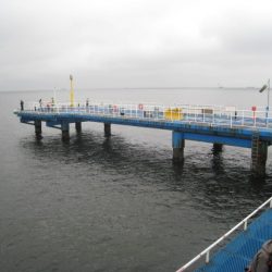 オリジナルメーカー海づり公園(市原市海づり施設) 釣果