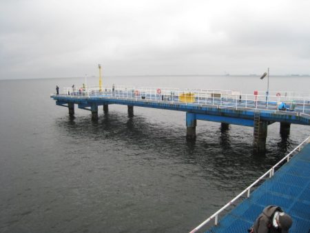 オリジナルメーカー海づり公園(市原市海づり施設) 釣果