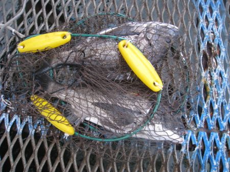 オリジナルメーカー海づり公園(市原市海づり…