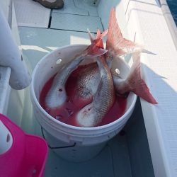 遊漁船ブルーウッズ 釣果