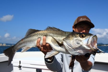 クルーズ 釣果