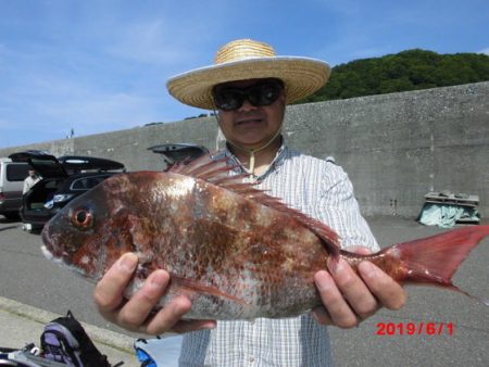 大進丸(新潟) 釣果