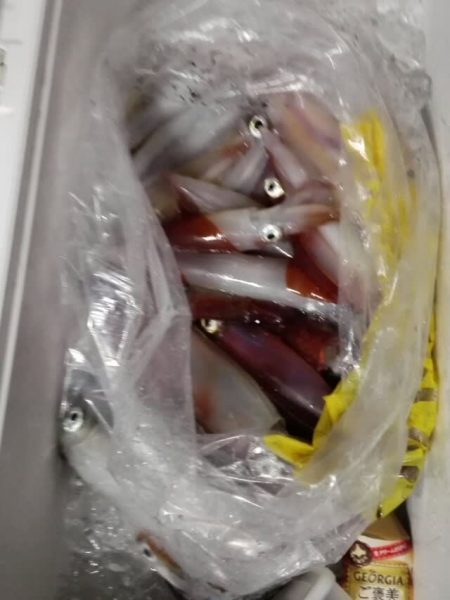 第二大福丸 釣果