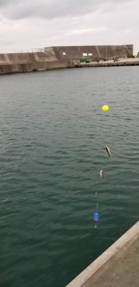 うきまろダンシングは連チャンの合図♪