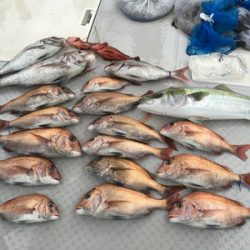 ミタチ丸 釣果