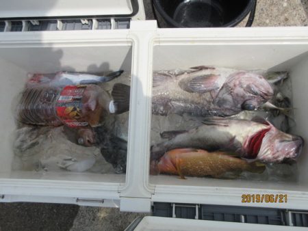 大進丸(新潟) 釣果