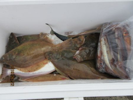 大進丸(新潟) 釣果