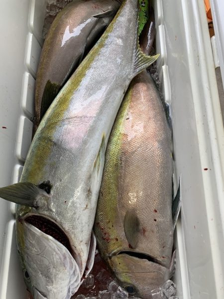 フィッシングハウス伊藤 釣果