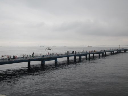 オリジナルメーカー海づり公園(市原市海づり施設) 釣果