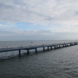 オリジナルメーカー海づり公園(市原市海づり施設) 釣果