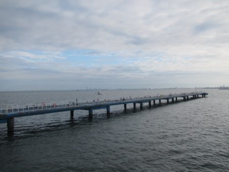 オリジナルメーカー海づり公園(市原市海づり施設) 釣果
