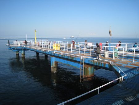 オリジナルメーカー海づり公園(市原市海づり施設) 釣果
