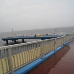 オリジナルメーカー海づり公園(市原市海づり施設) 釣果