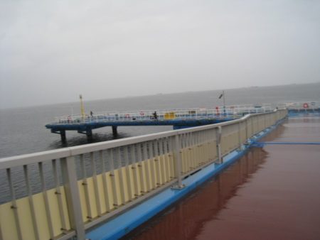 オリジナルメーカー海づり公園(市原市海づり施設) 釣果