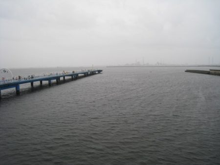 オリジナルメーカー海づり公園(市原市海づり施設) 釣果