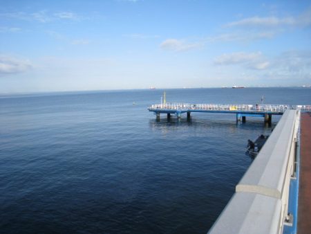 オリジナルメーカー海づり公園(市原市海づり施設) 釣果