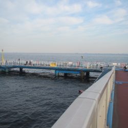 オリジナルメーカー海づり公園(市原市海づり施設) 釣果