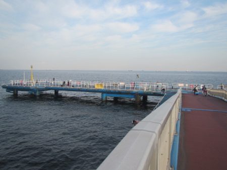 オリジナルメーカー海づり公園(市原市海づり…