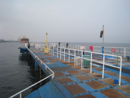 オリジナルメーカー海づり公園(市原市海づり施設) 釣果