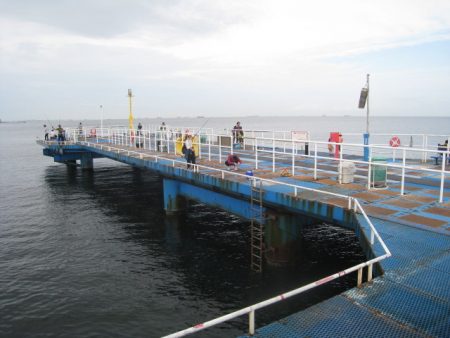 オリジナルメーカー海づり公園(市原市海づり施設) 釣果