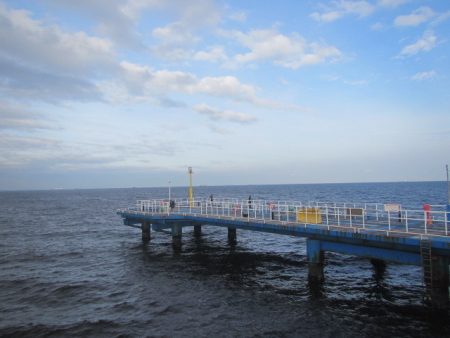 オリジナルメーカー海づり公園(市原市海づり施設) 釣果