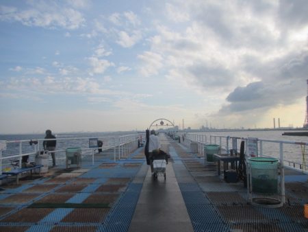 オリジナルメーカー海づり公園(市原市海づり施設) 釣果