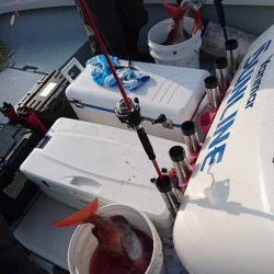 遊漁船ブルーウッズ 釣果