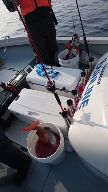 遊漁船ブルーウッズ 釣果