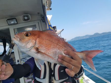 遊漁船 ニライカナイ 釣果