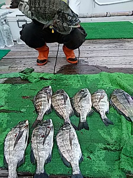 勝丸渡船 釣果