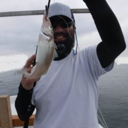 遊漁船 幸友丸 釣果