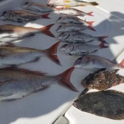 暁〜akatsuki〜 釣果