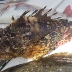 暁〜akatsuki〜 釣果