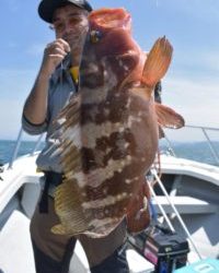 Fisherman Dreams DI 釣果