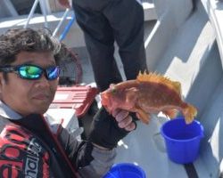 Fisherman Dreams DI 釣果