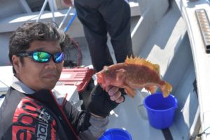 Fisherman Dreams DI 釣果