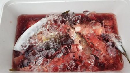 暁〜akatsuki〜 釣果