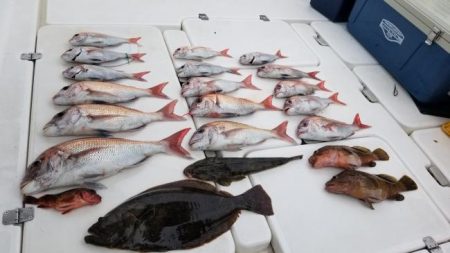 暁〜akatsuki〜 釣果