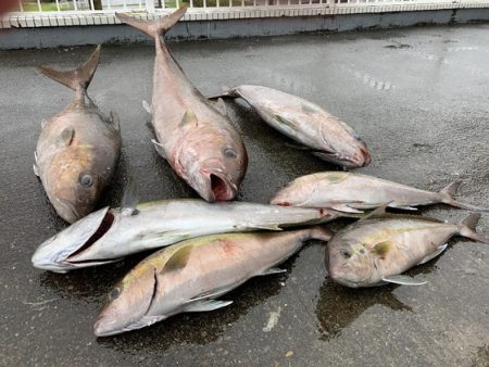 フィッシングハウス伊藤 釣果