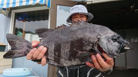 伊豆下田フィッシング 釣果