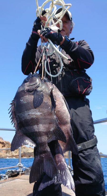 伊豆下田フィッシング 釣果