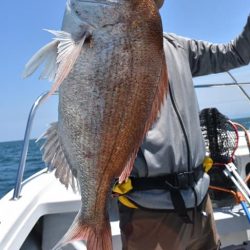 Fisherman Dreams DI 釣果