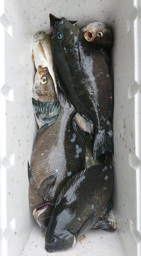 伊豆下田フィッシング 釣果